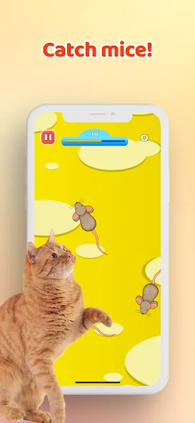 Games for Cat－Toy Mouse & Fish [МОД: Много денег, Монет и Все открыто] Screenshot 1