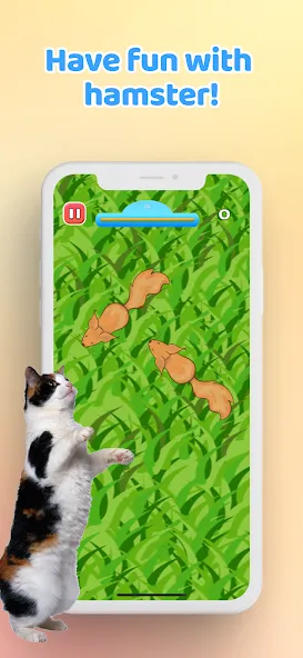 Games for Cat－Toy Mouse & Fish [МОД: Много денег, Монет и Все открыто] Screenshot 5