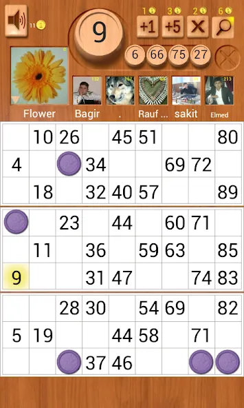 Loto Online [МОД: Много монет, Открытые уровни и Мега MOD] Screenshot 1