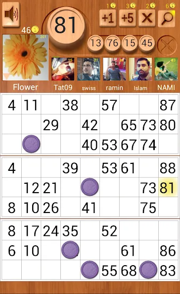 Loto Online [МОД: Много монет, Открытые уровни и Мега MOD] Screenshot 5