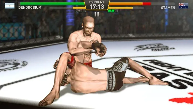 Fighting Star [МОД: Много монет, Открытые уровни и Мега MOD] Screenshot 5