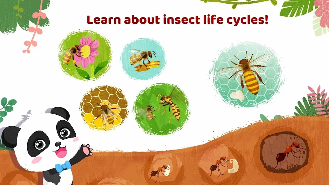 Little Panda's Insect World [МОД: Много денег, Монет и Все открыто] Screenshot 4