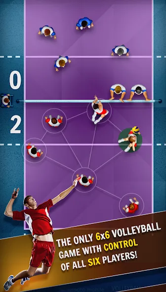 Volleyball Championship (Волейбольный чемпионат) [МОД: Деньги, Монеты и Меню MOD] Screenshot 4