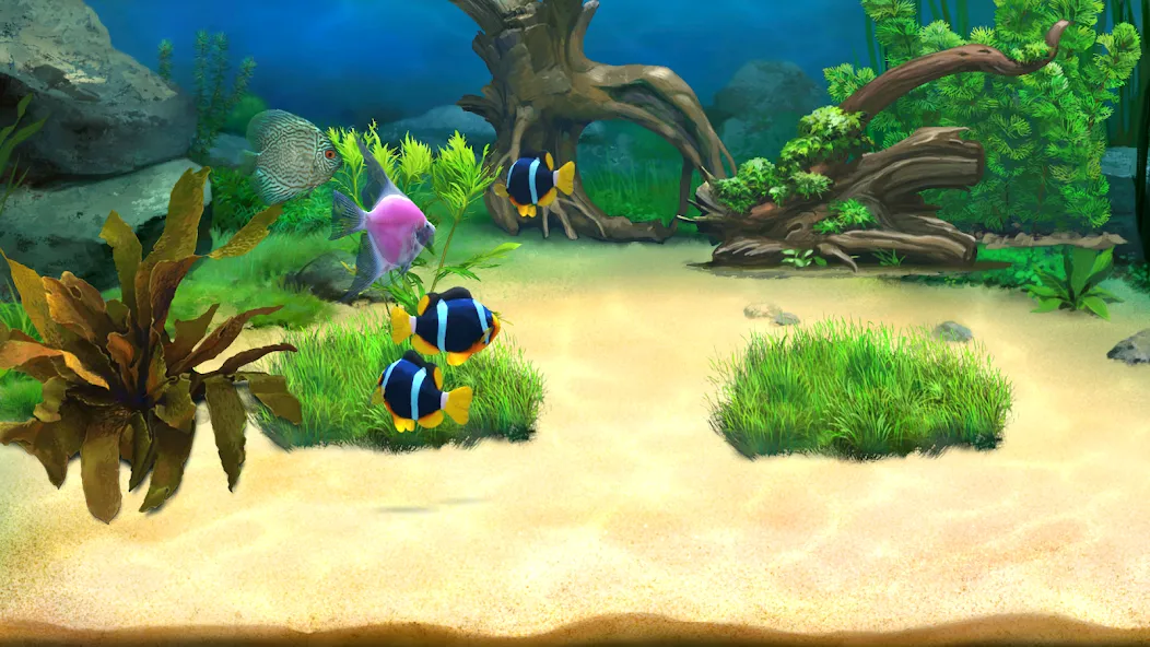 Aquantika [МОД: Меню, Бесконечные монеты и Открытые уровни] Screenshot 2