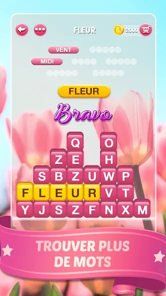 Mots Malins - Jeu de mots pro (Мо Малинс) [МОД: Много монет, Открытые уровни и Мега MOD] Screenshot 3