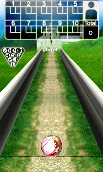 3D Bowling [МОД: Много монет, Открытые уровни и Мега MOD] Screenshot 4