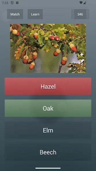 General Knowledge Quiz [МОД: Много монет, Открытые уровни и Мега MOD] Screenshot 2