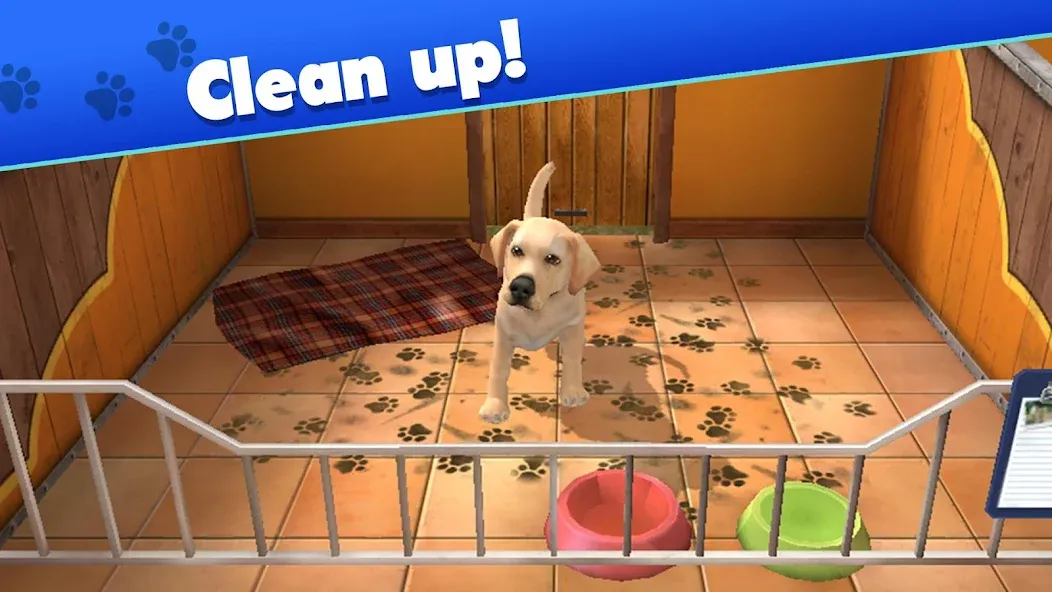 Pet World - My Animal Shelter (Пет Ворлд) [МОД: Много монет, Открытые уровни и Мега MOD] Screenshot 1