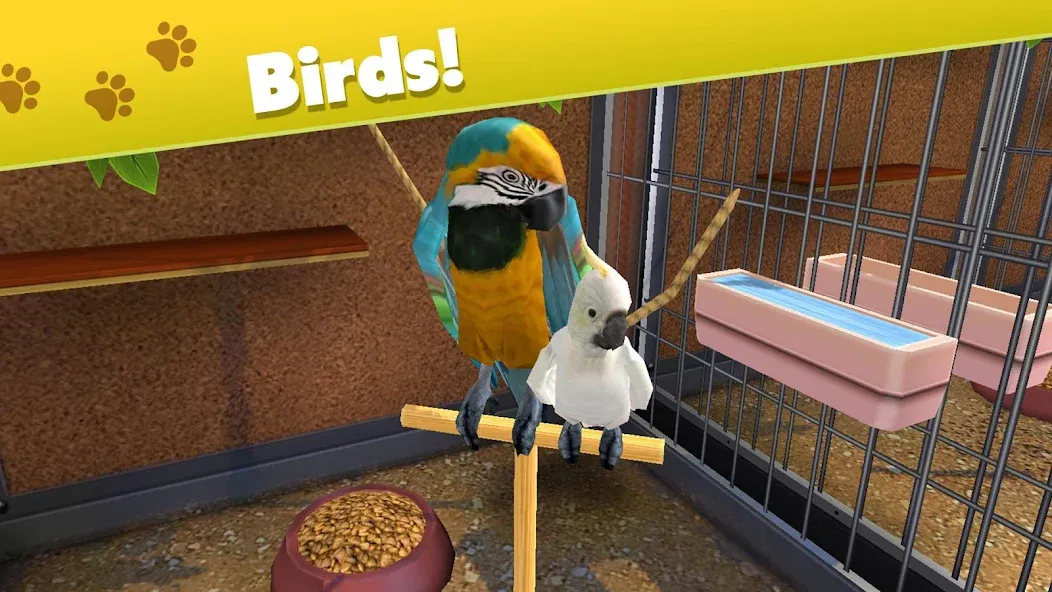 Pet World - My Animal Shelter (Пет Ворлд) [МОД: Много монет, Открытые уровни и Мега MOD] Screenshot 2