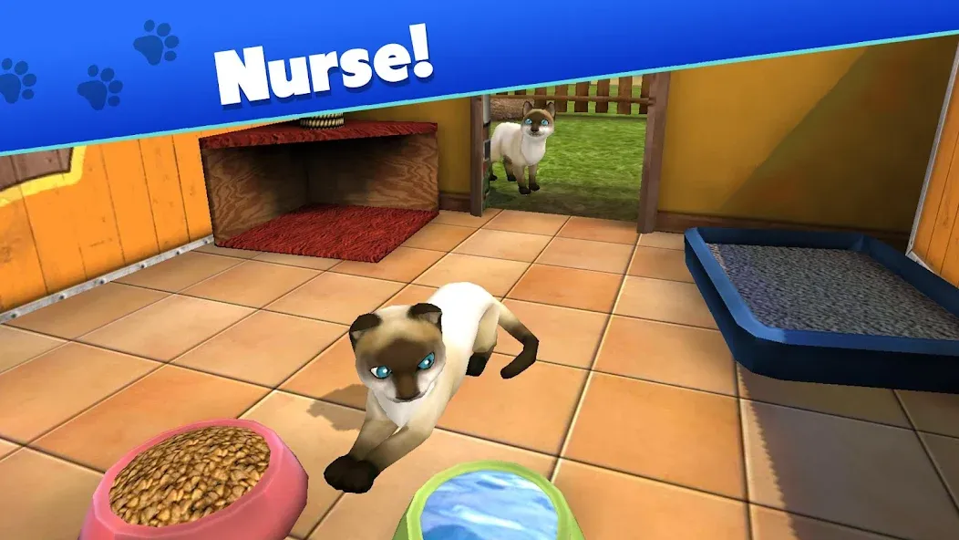 Pet World - My Animal Shelter (Пет Ворлд) [МОД: Много монет, Открытые уровни и Мега MOD] Screenshot 3
