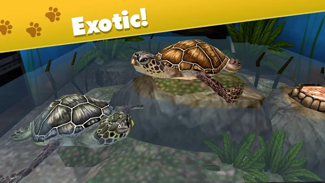 Pet World - My Animal Shelter (Пет Ворлд) [МОД: Много монет, Открытые уровни и Мега MOD] Screenshot 4