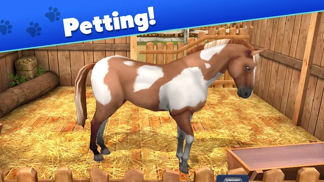 Pet World - My Animal Shelter (Пет Ворлд) [МОД: Много монет, Открытые уровни и Мега MOD] Screenshot 5