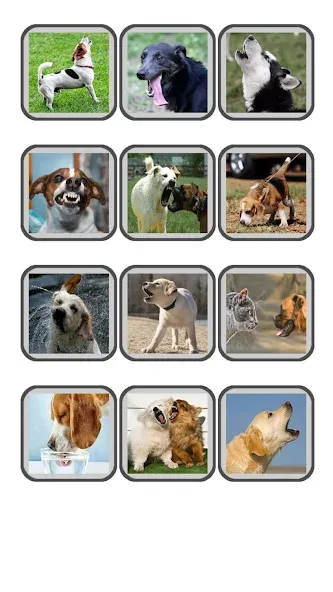 Dog Translator: Bark to Human [МОД: Деньги, Монеты и Меню MOD] Screenshot 5