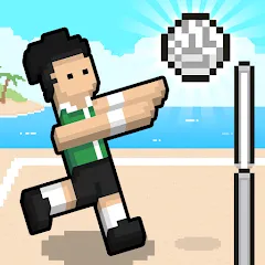 Скачать Volley Random (Воллей Рэндом) [МОД: Меню, Бесконечные монеты и Открытые уровни] | Взлом Volley Random на Андроид