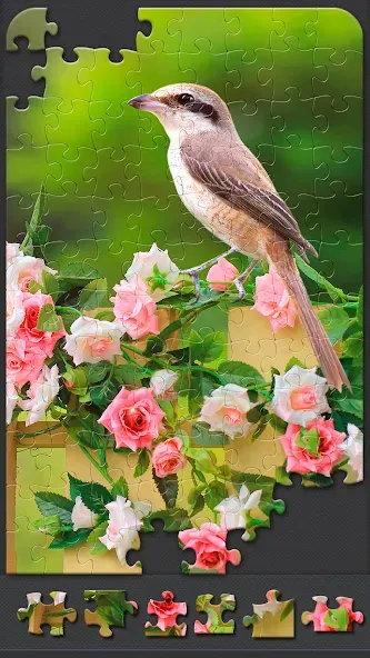 Jigsaw Puzzles for Adults [МОД: Меню, Бесконечные монеты и Открытые уровни] Screenshot 3