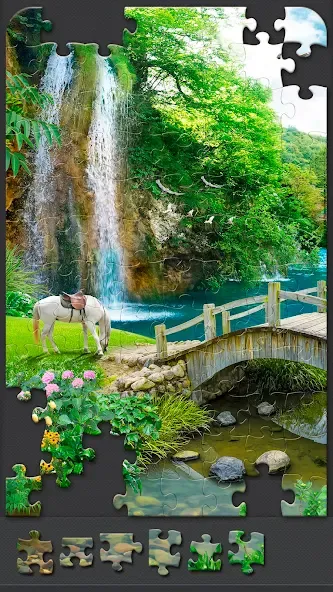 Jigsaw Puzzles for Adults [МОД: Меню, Бесконечные монеты и Открытые уровни] Screenshot 4