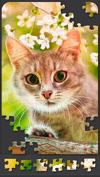 Jigsaw Puzzles for Adults [МОД: Меню, Бесконечные монеты и Открытые уровни] Screenshot 5