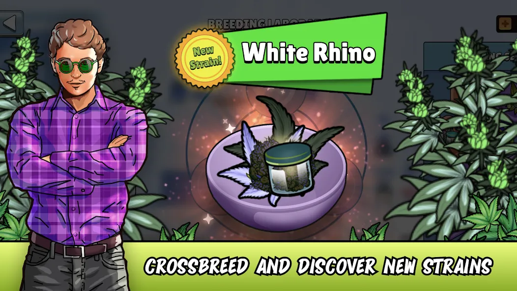 Weed City - Hemp Farm Tycoon (Уид Сити) [МОД: Бесконечные деньги, Монеты и Мега MOD] Screenshot 1
