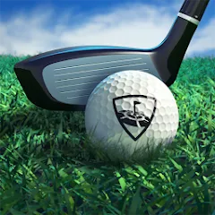 Скачать WGT Golf (Гольф) [МОД: Все открыто, Дополнительные деньги и Меню MOD] | Взлом WGT Golf на Андроид