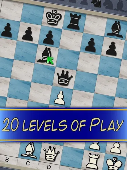 Chess V+ - board game of kings [МОД: Много денег, Монет и Все открыто] Screenshot 5