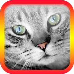 Скачать Translator for Cats Prank [МОД: Много денег, Монет и Все открыто] | Взлом Translator for Cats Prank на Андроид