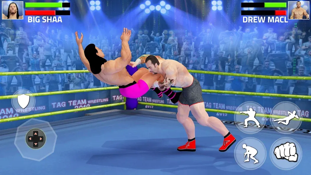 Tag Team Wrestling Game (Таг Тим Реслинг Гейм) [МОД: Много монет, Открытые уровни и Мега MOD] Screenshot 5