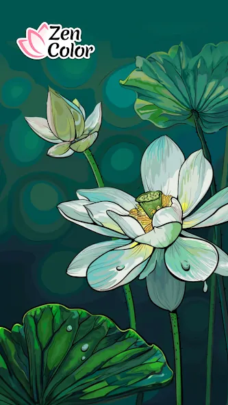 Zen Color - Color By Number (Зен Колор) [МОД: Деньги, Монеты и Меню MOD] Screenshot 1