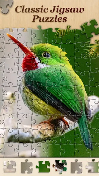 Jigsawscapes® - Jigsaw Puzzles (Джигсоускейпс) [МОД: Деньги, Монеты и Меню MOD] Screenshot 2