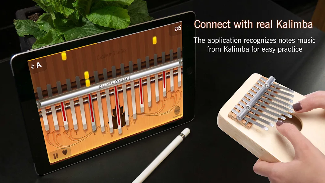 Kalimba Connect (Калимба Коннект) [МОД: Все открыто, Дополнительные деньги и Меню MOD] Screenshot 1