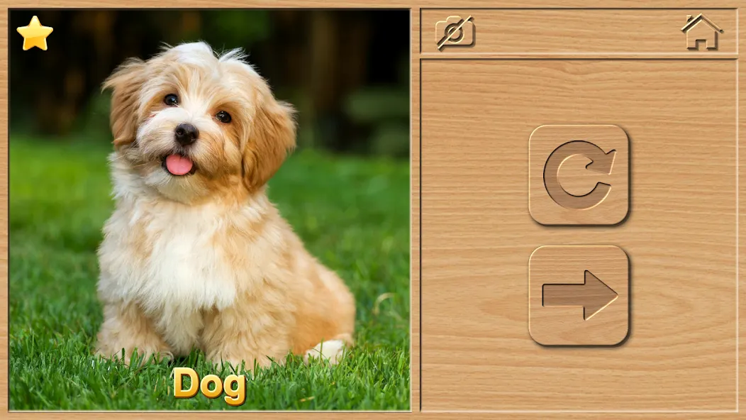 Animal Puzzles for Kids [МОД: Много монет, Открытые уровни и Мега MOD] Screenshot 2