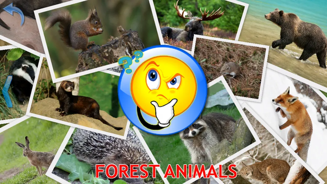Animals for Kids [МОД: Много денег, Монет и Все открыто] Screenshot 5