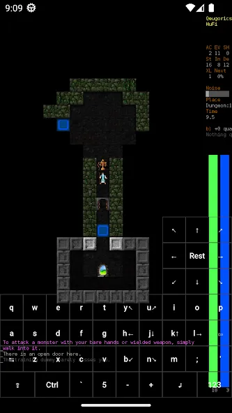 Dungeon Crawl Stone Soup (Данжен Кролл Стоун Суп) [МОД: Деньги, Монеты и Меню MOD] Screenshot 3