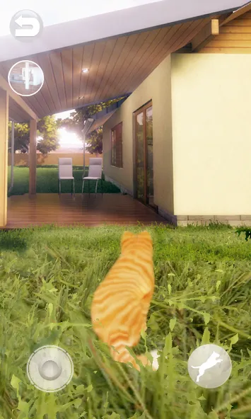 Talking Lovely Cat [МОД: Меню, Бесконечные монеты и Открытые уровни] Screenshot 2