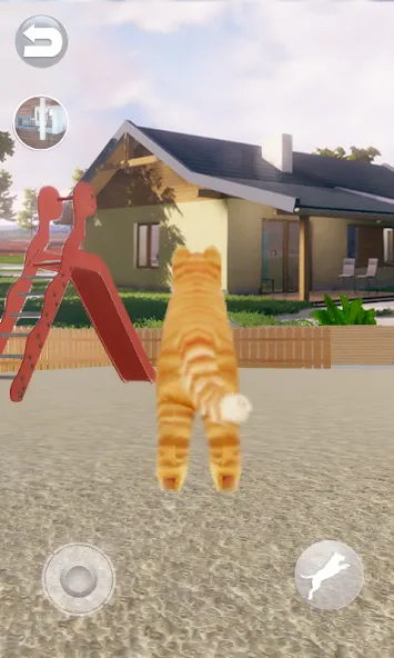 Talking Lovely Cat [МОД: Меню, Бесконечные монеты и Открытые уровни] Screenshot 4