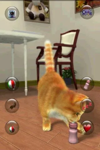 Talking Lovely Cat [МОД: Меню, Бесконечные монеты и Открытые уровни] Screenshot 5