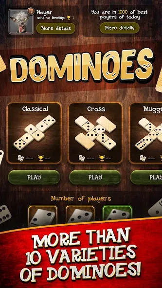 Dominoes [МОД: Много монет, Открытые уровни и Мега MOD] Screenshot 4