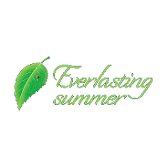 Скачать Everlasting Summer [МОД: Много монет, Открытые уровни и Мега MOD] | Взлом Everlasting Summer на Андроид