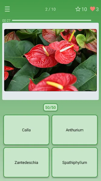 Quiz: Flowers, Plants [МОД: Деньги, Монеты и Меню MOD] Screenshot 1