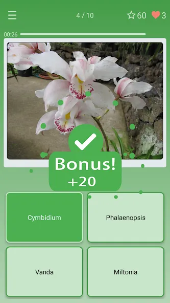 Quiz: Flowers, Plants [МОД: Деньги, Монеты и Меню MOD] Screenshot 2
