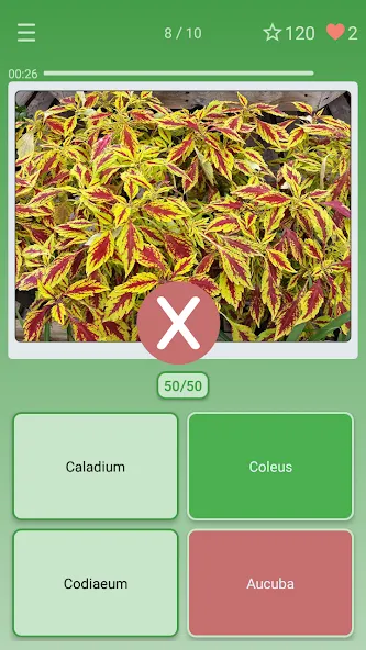 Quiz: Flowers, Plants [МОД: Деньги, Монеты и Меню MOD] Screenshot 3