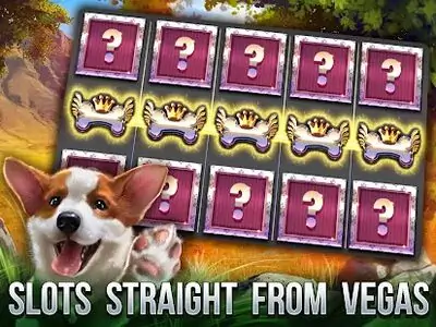 Download Hack Cats Slot Machines MOD APK? ver. 2.8.3913