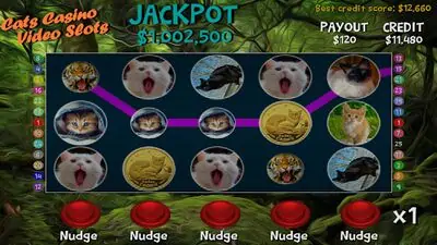 Download Hack Cats Casino Video Slots MOD APK? ver. 1.38