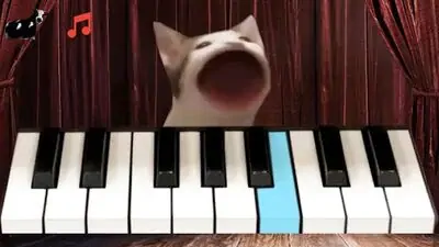 Download Hack Pop Cat Piano MOD APK? ver. 8.0
