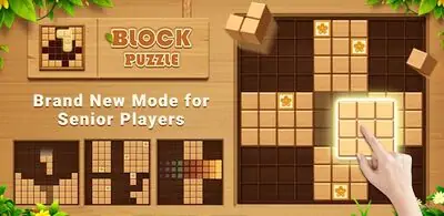 Download Hack Wood Block Puzzle MOD APK? ver. 2.6.2