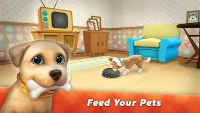 Download Hack Dog Town: Pet Shop, Care Games MOD APK? ver. 1.5.12
