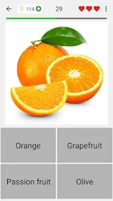 Download Hack Fruit and Vegetables, Nuts & Berries: Picture-Quiz MOD APK? ver. 3.2.0