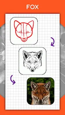 Download Hack How to draw animals. Step by step drawing lessons [Premium MOD] for Android ver. 1.5.7