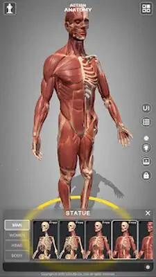 Download Hack Action Anatomy [Premium MOD] for Android ver. 1.0.2