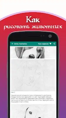Download Hack How to draw animals [Premium MOD] for Android ver. 4.0