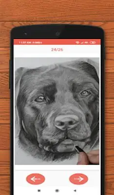Download Hack How to Draw Animals MOD APK? ver. 7.0